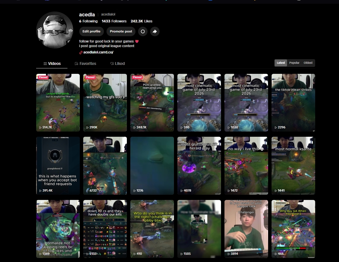 TikTok content preview